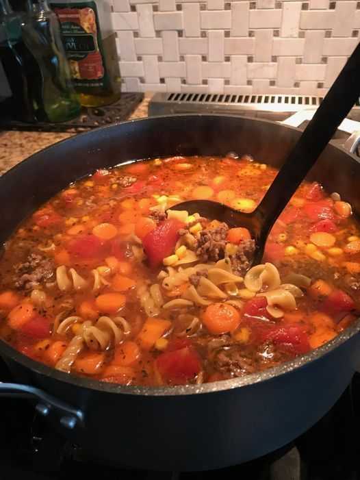 VEGETABLE BEEF NOODLE SOUP