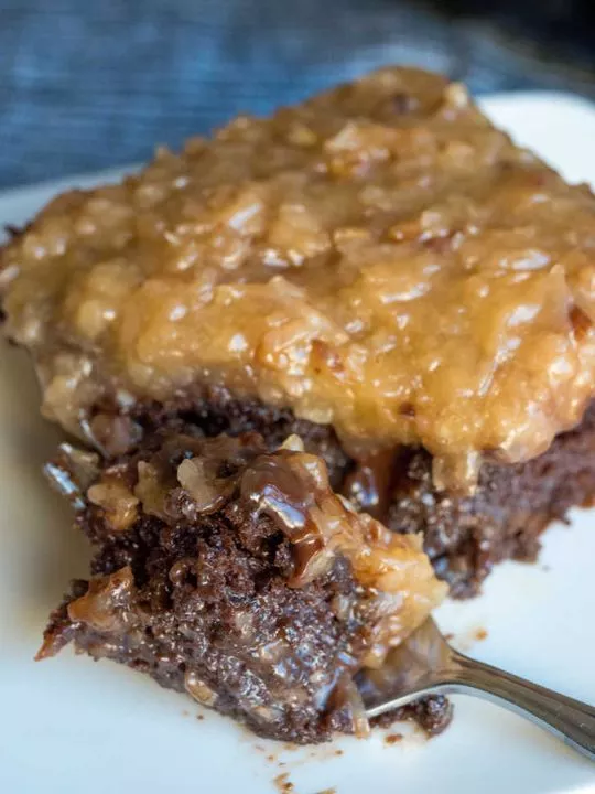 GERMAN CHOCOLATE POKE CAKE