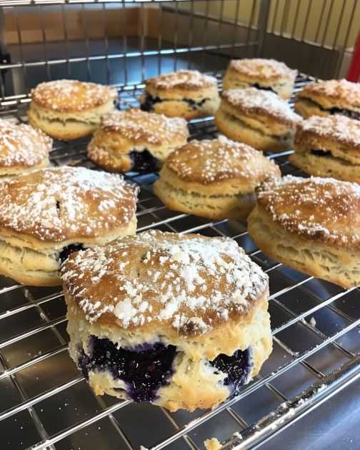 Blueberry Biscuits