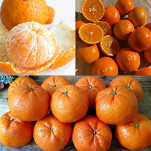 Mandarins: A Natural Boost for Cleaning Kidneys, Liver, and Lungs