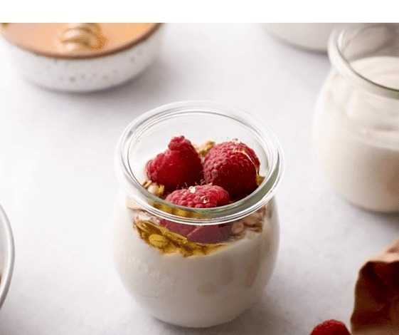 Vegan Greek Yogurt Recipe