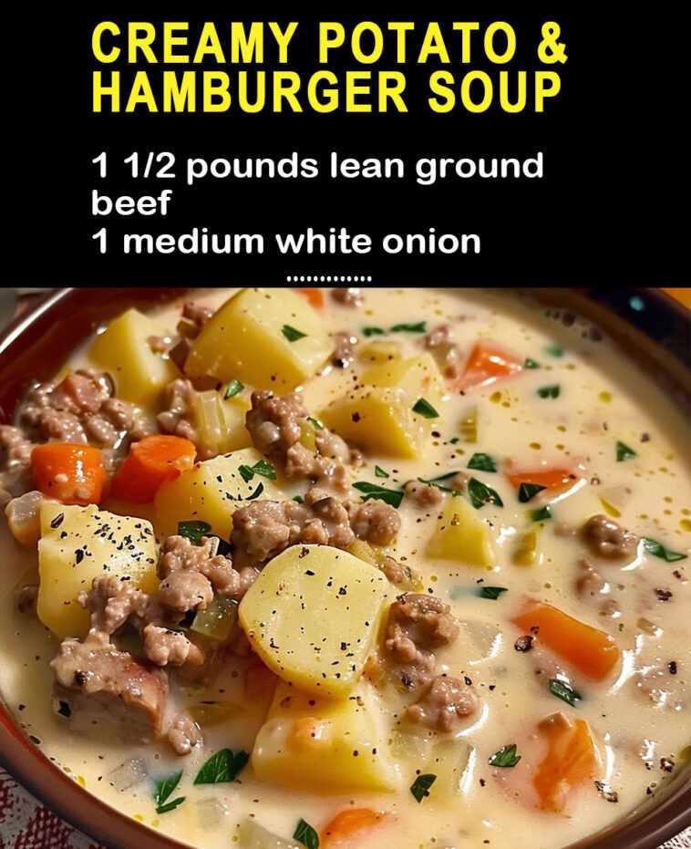 Crockpot Creamy Potato & Hamburger Soup