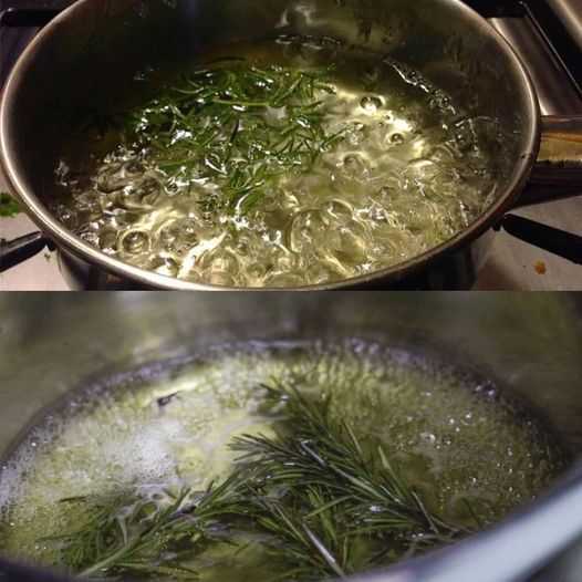 Boil 10 Branches of Rosemary at Home and be Amazed!