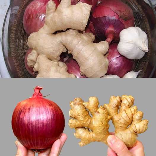 The Amazing Benefits of Ginger