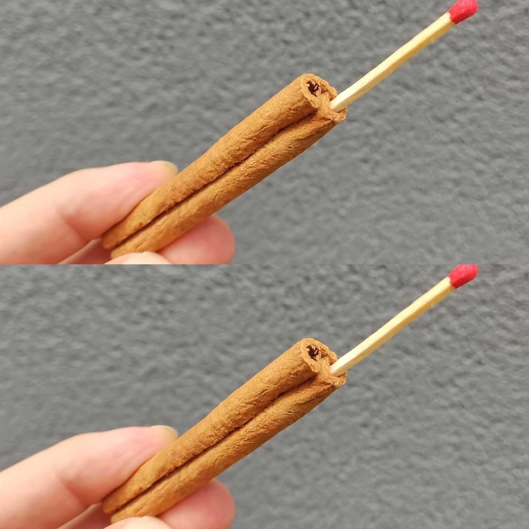 Put a Match in the Cinnamon! You Will Be Completely Surprised (Did You Know That?)