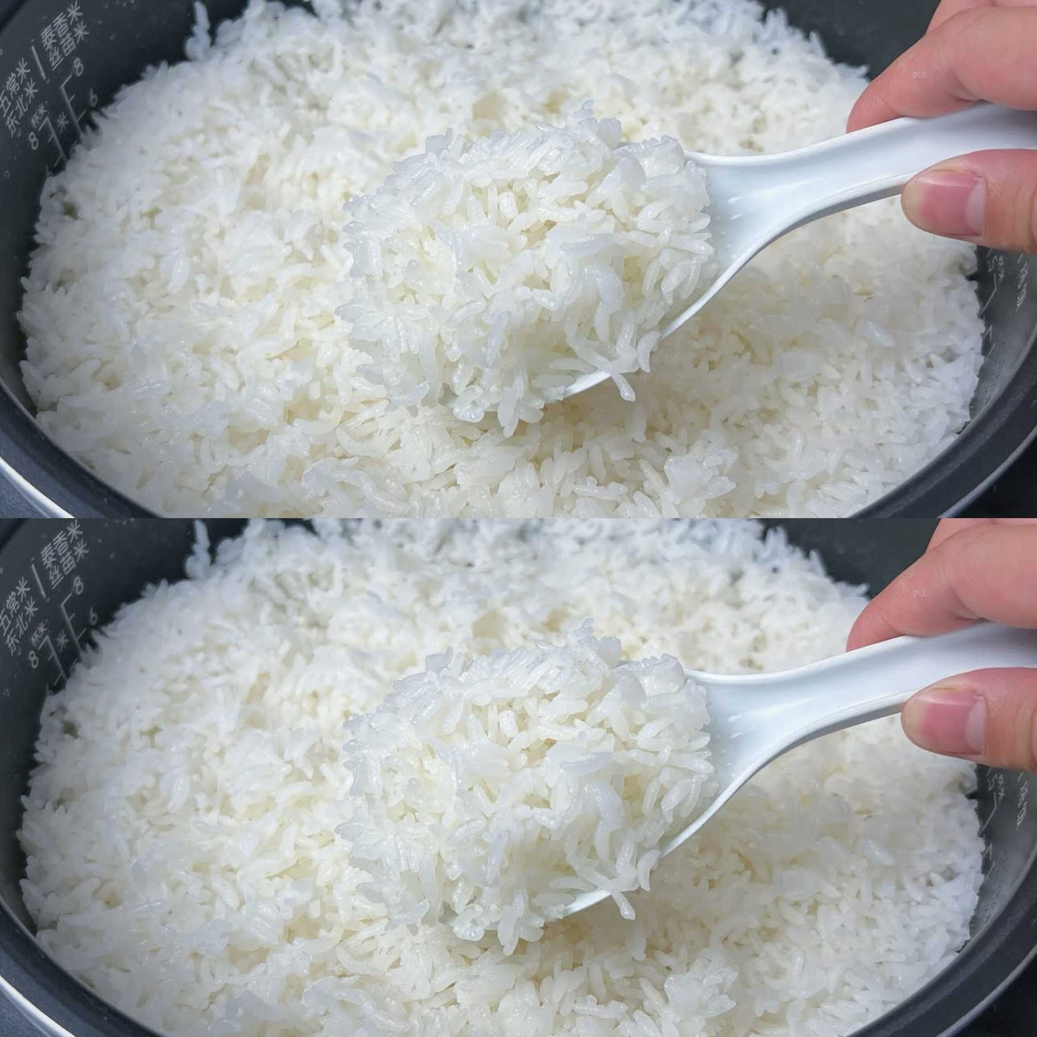 It’s a Big Mistake to Only Add Water to Cook Rice! Let Me Teach You the Secret that Hotels Use for Perfect Rice ✨