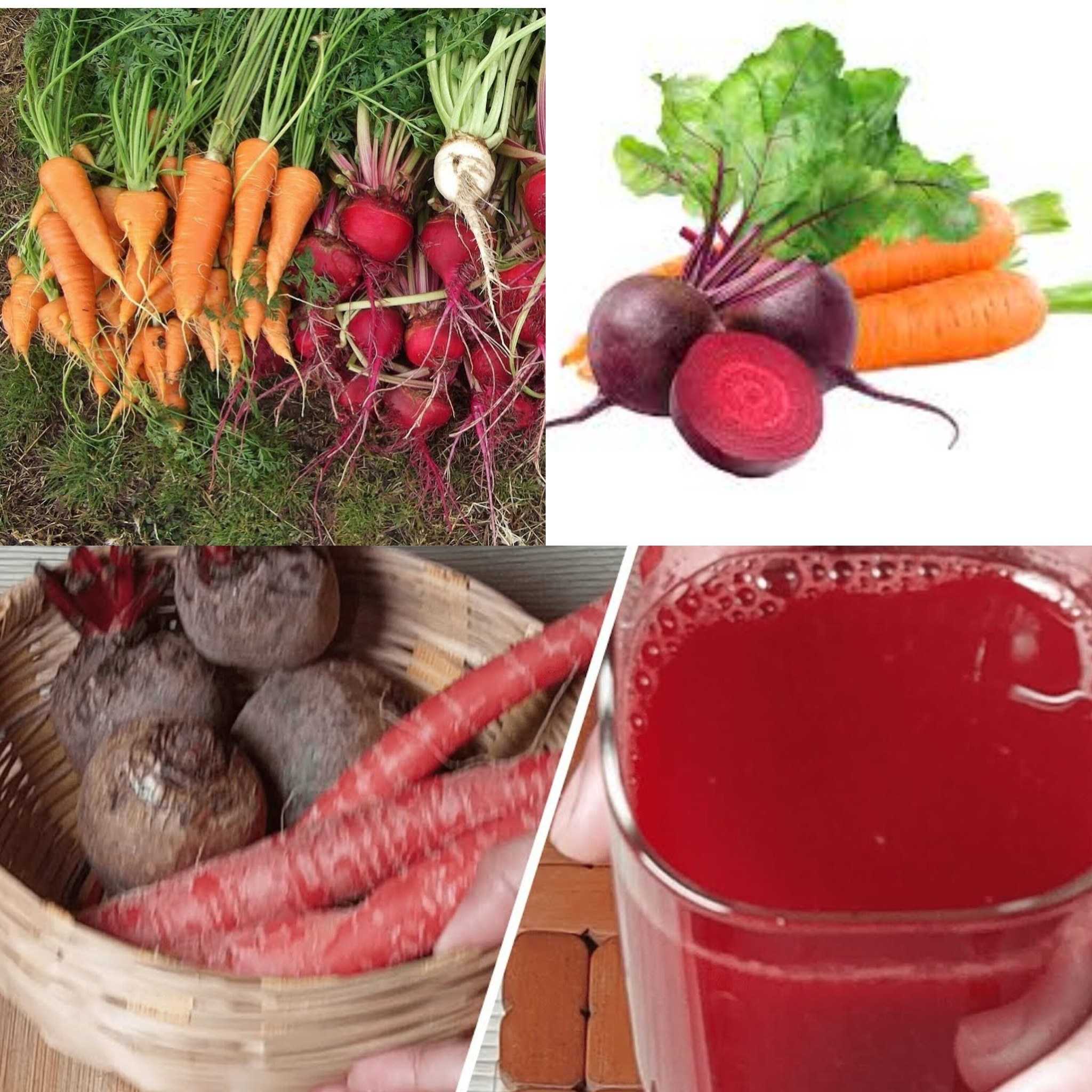 Drink Beetroot and Carrot Juice for Multiple Health Benefits