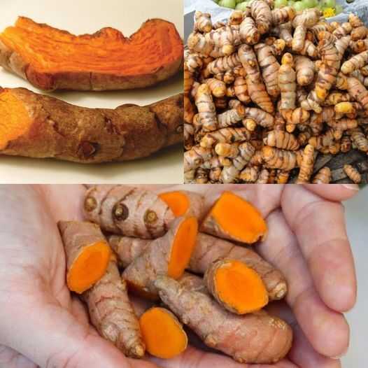 Turmeric: The Golden Spice with Incredible Health Benefits