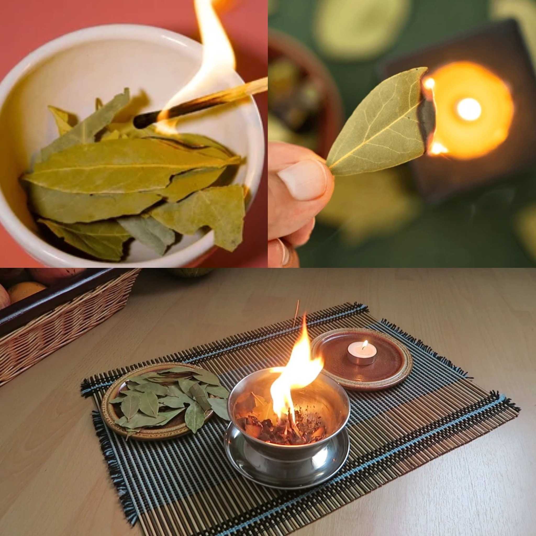 Burn a Bay Leaf in Your House – You Will Be Amazed by the Results