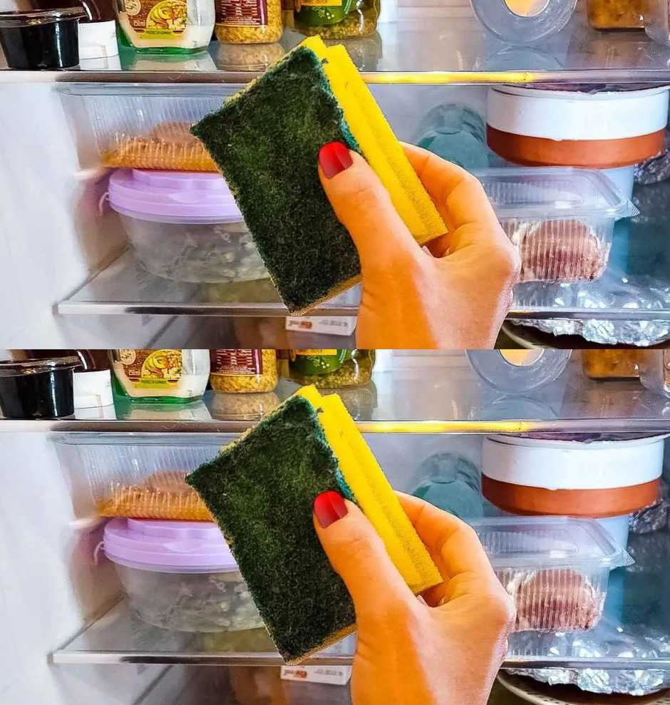 Put a sponge in the refrigerator: the trick that saves you money