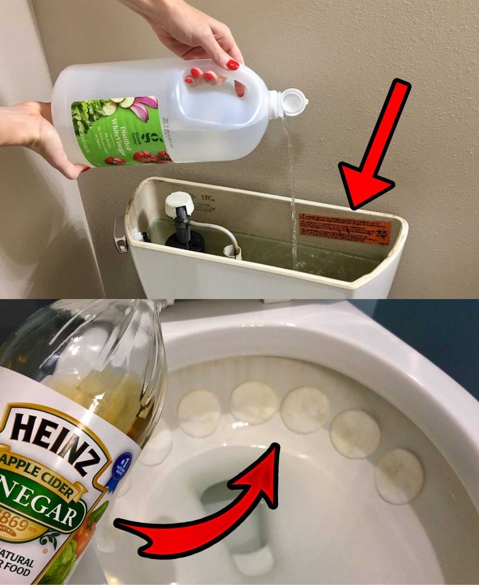 Vinegar in the toilet: solves an annoying and very common problem