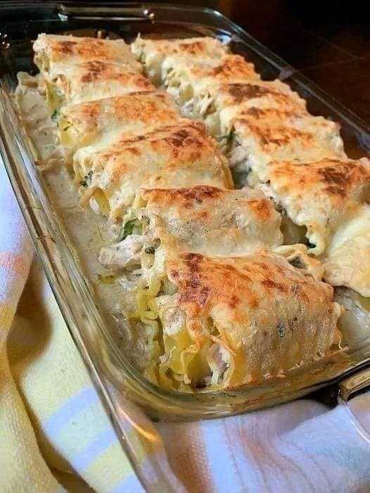 Chicken Alfredo Lasagna Rolls