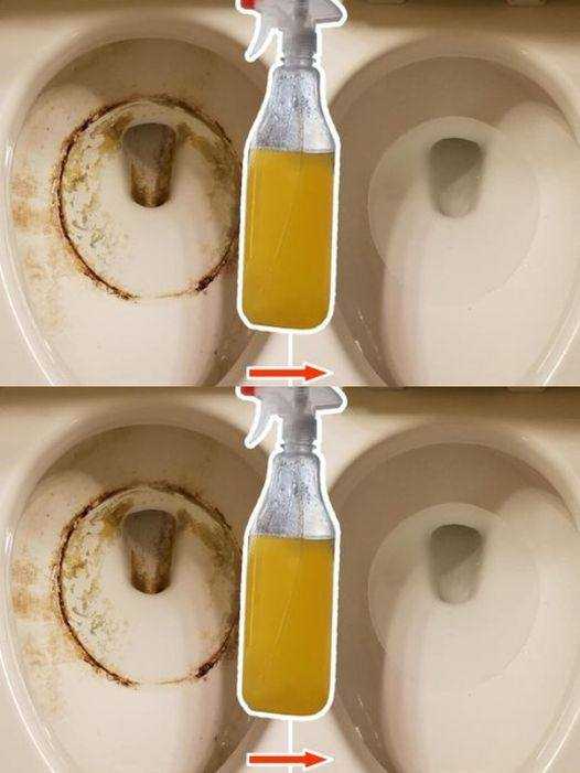 Super clean toilets: remove yellow stains and limescale, disinfect them and perfume them with 1 ingredient