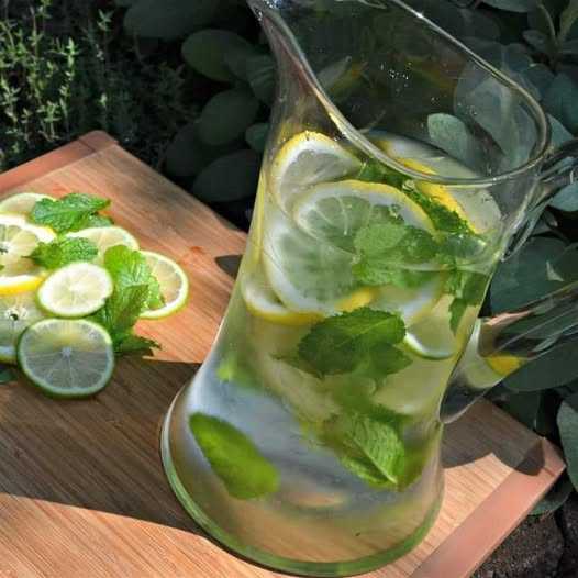 Melt Belly Fat Naturally with Lemon and Mint Water