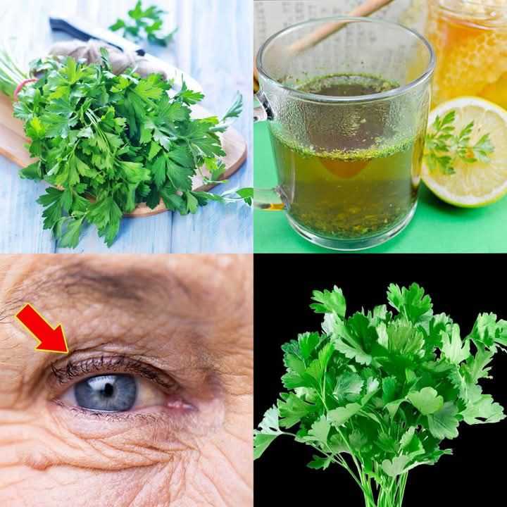 The Benefits of Drinking Parsley Tea for 7 Days Straight