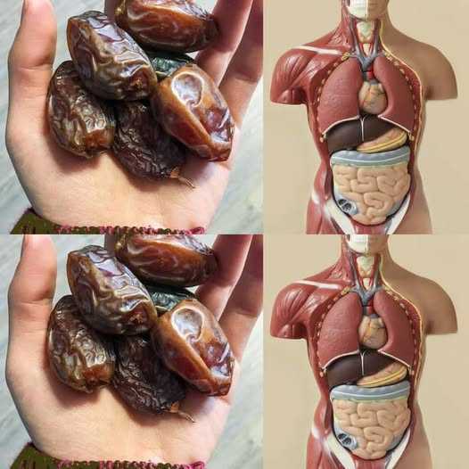 The Healthiest Fruit on the Planet: The Wonders of Eating Three Dates Daily