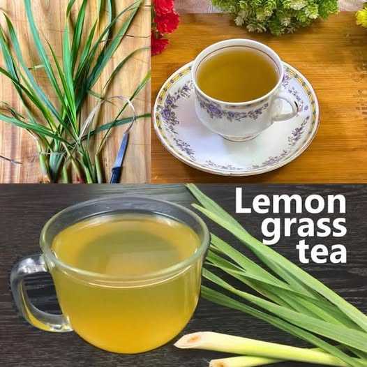 7 Amazing Benefits of Lemongrass Tea (How to Make)