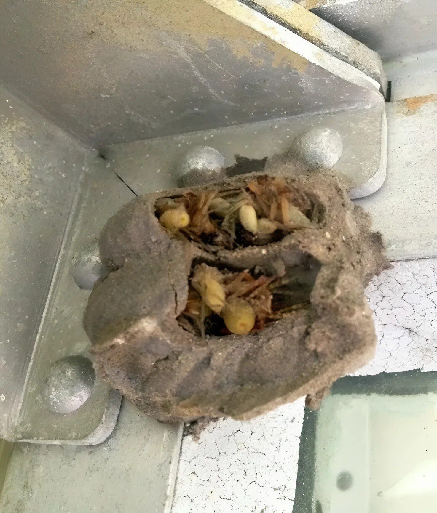 I went into the garage just to grab an old toolbox!