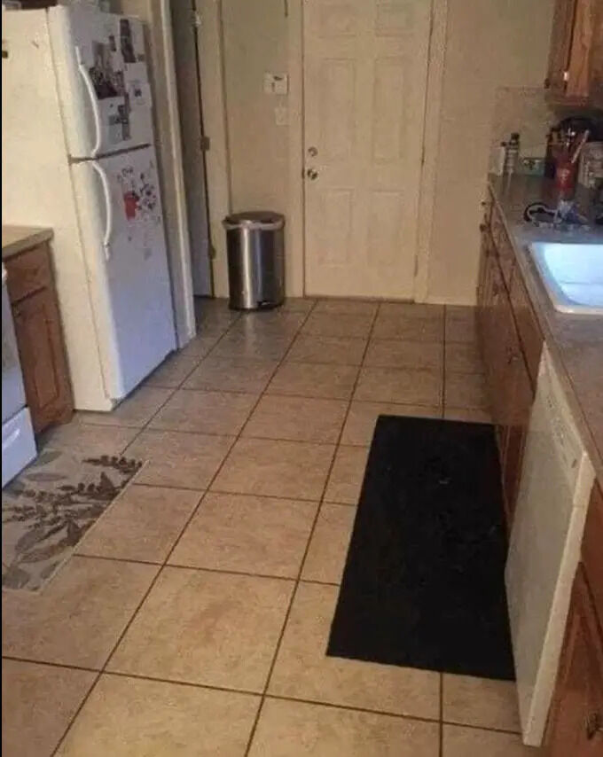 Look closely: There’s a dog hidden in this kitchen scene