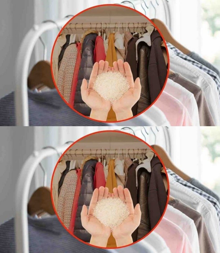 Put rice in the pantry at night? The little-known but useful trick