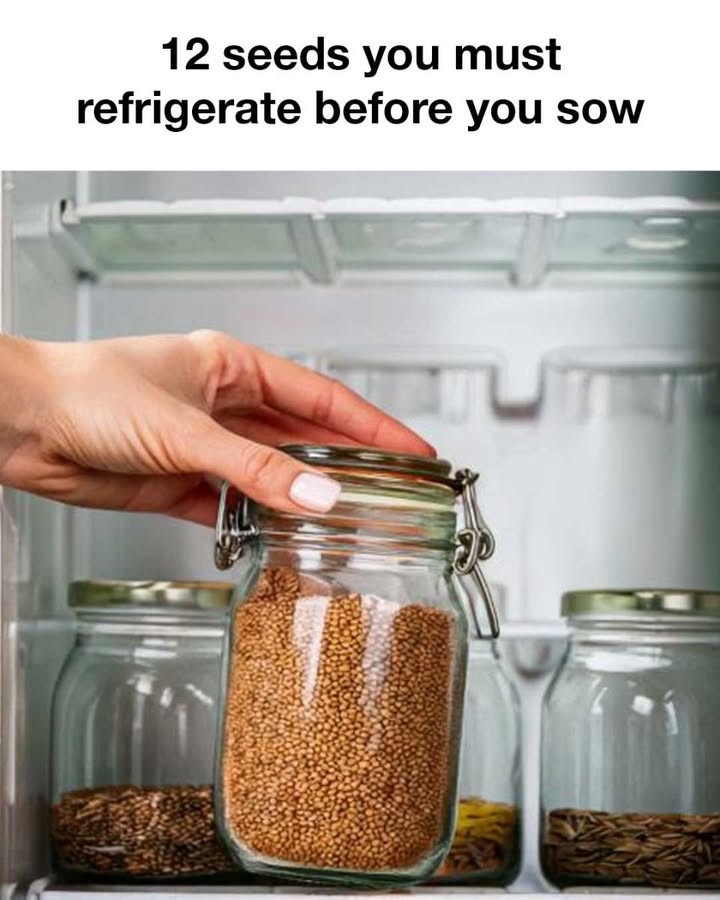 Had no clue about this