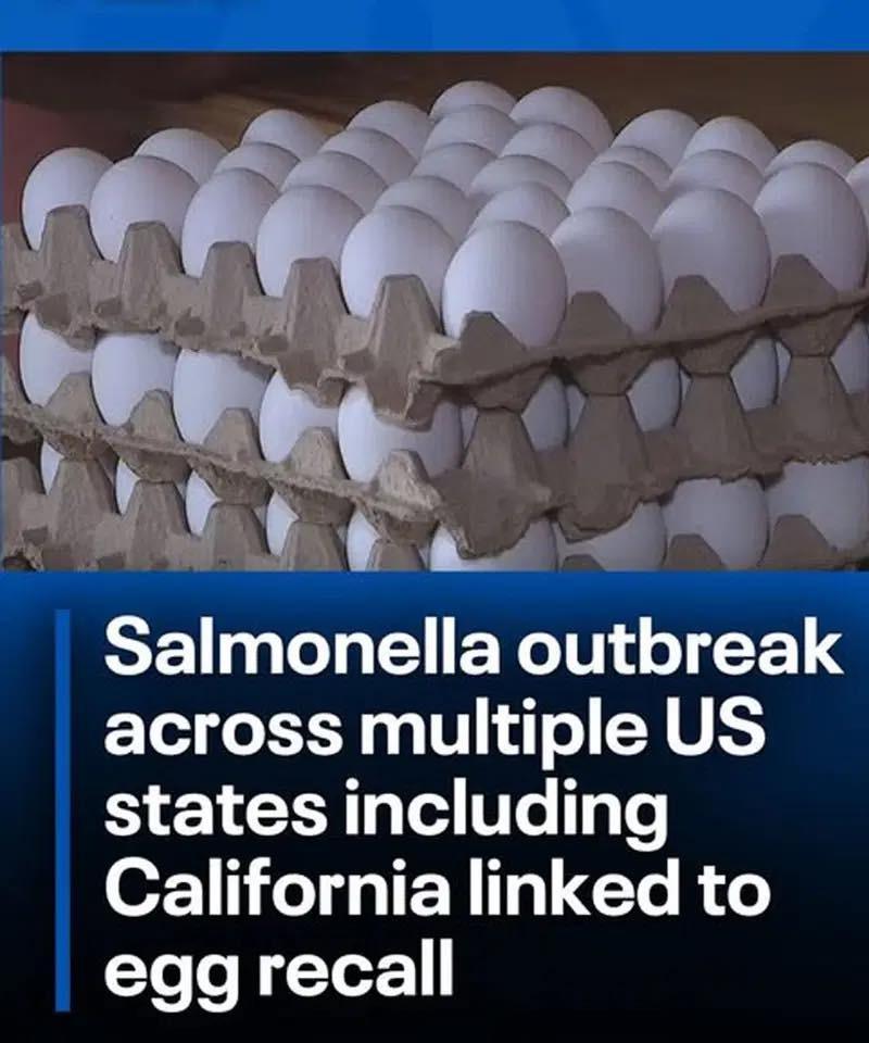 Multistate salmonella outbreak linked to egg recall sickens dozens: CDC