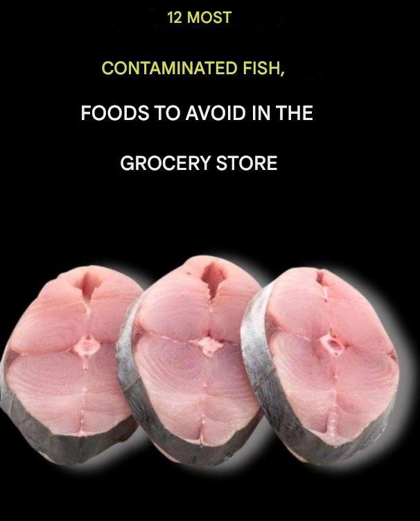The 12 Most Contaminated Fish to Avoid at the Grocery Store