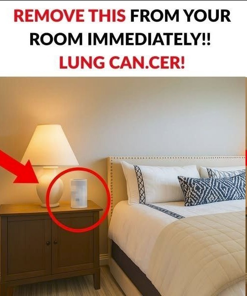 Indoor Air Quality: 6 Common Household Items That May Affect Your Lungs — And How to Use Them Safely