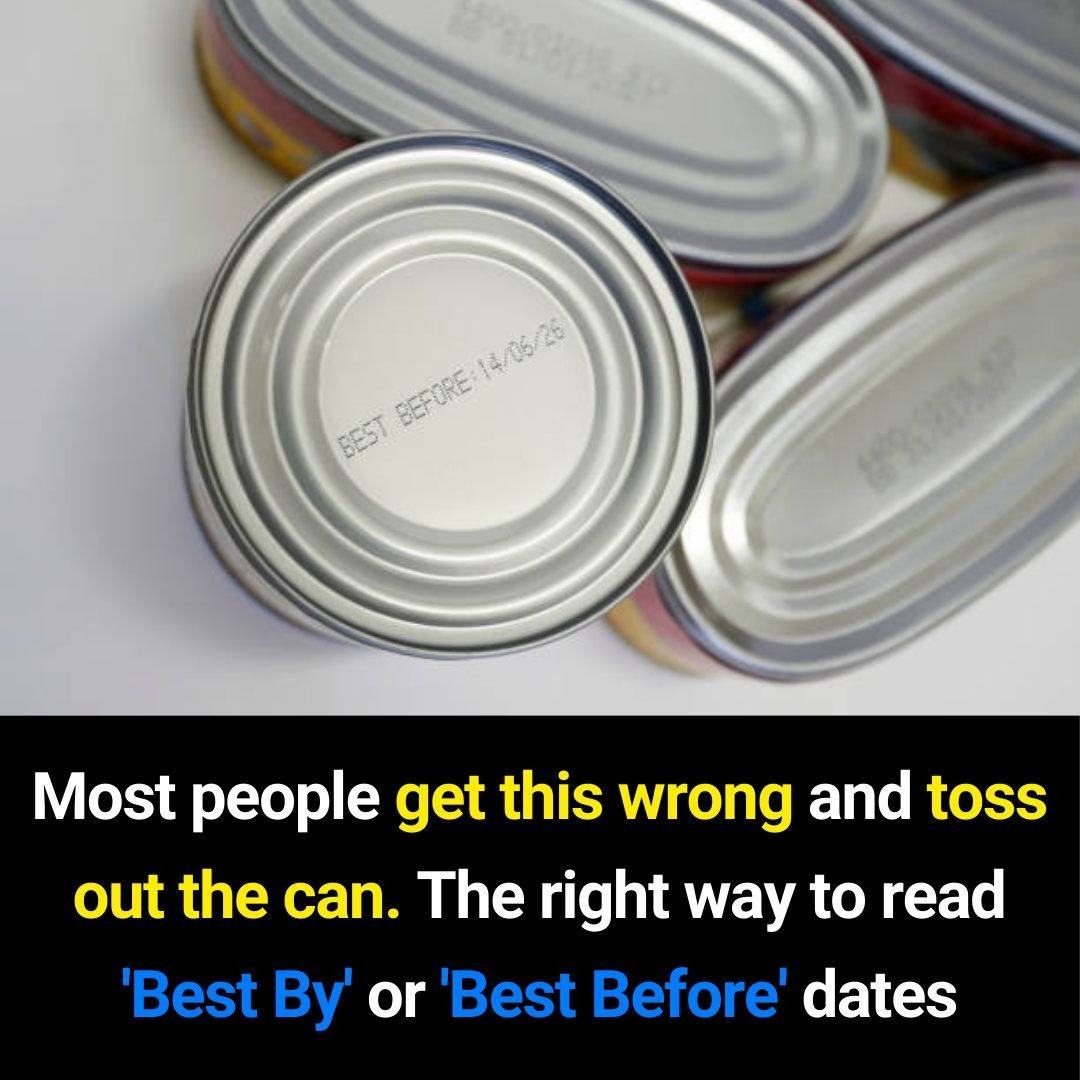 “Best By” and “Best Before” Dates: Why Most People Get Them Wrong