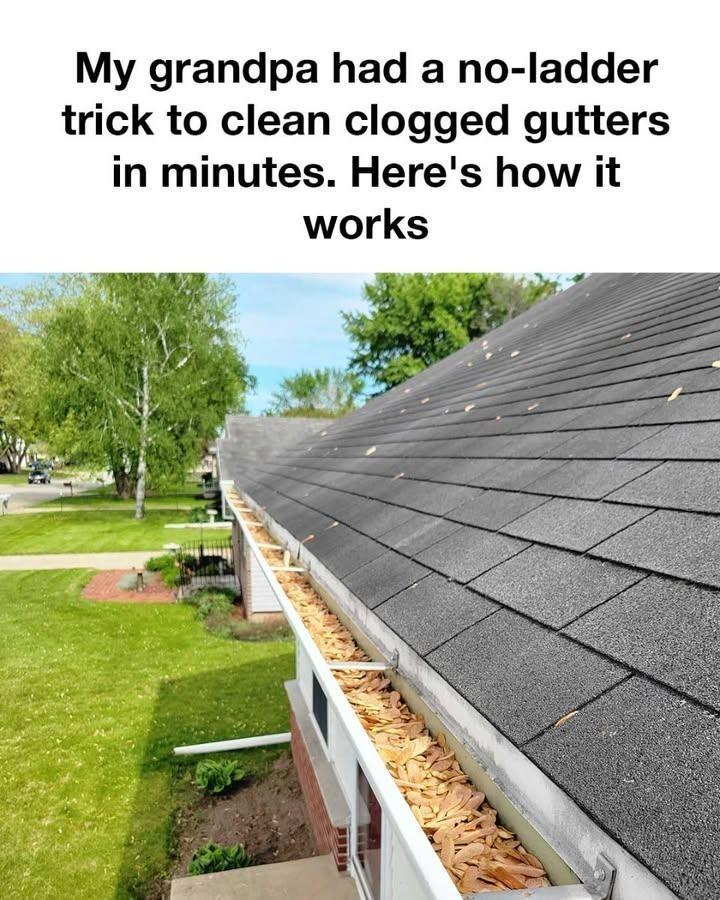 Why did no one tell me this sooner?!