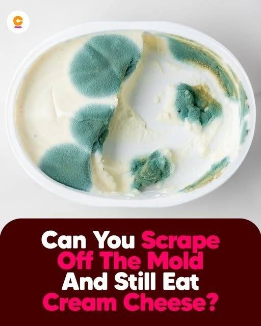 Can You Eat Moldy Cheese? When You Should Clean It and When You Should Throw It Away