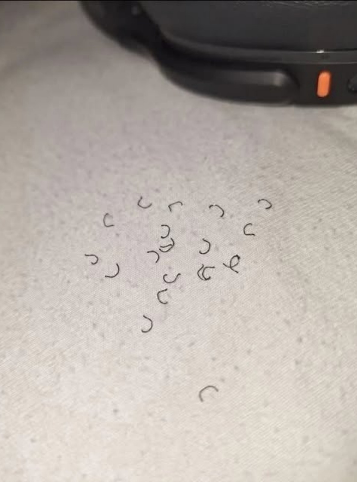 Woke Up to This on Your Bed? The Truth Will Sh0ck You!