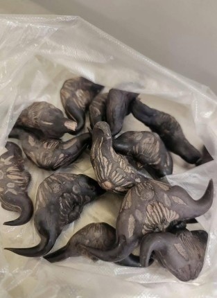 My neighbor gave me a bag of these… anyone know what they are? How do you eat them?