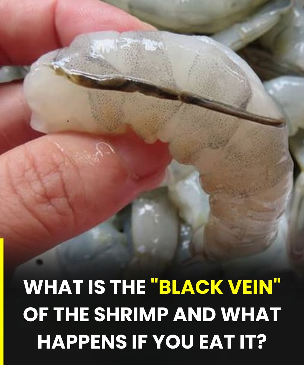 The “vein” of the shrimp: the culinary detail that few know and many discuss