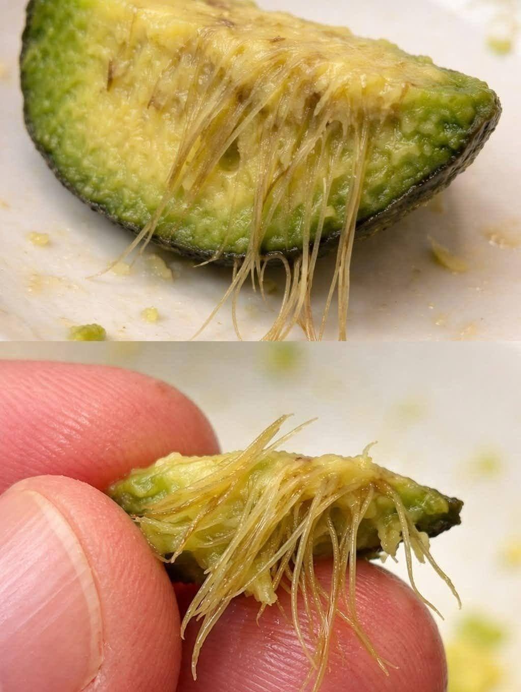 Why Your Avocado Has Strings Inside (and What It Really Means)