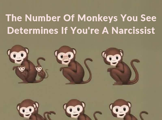 The Number of Monkeys You See and What It Really Means