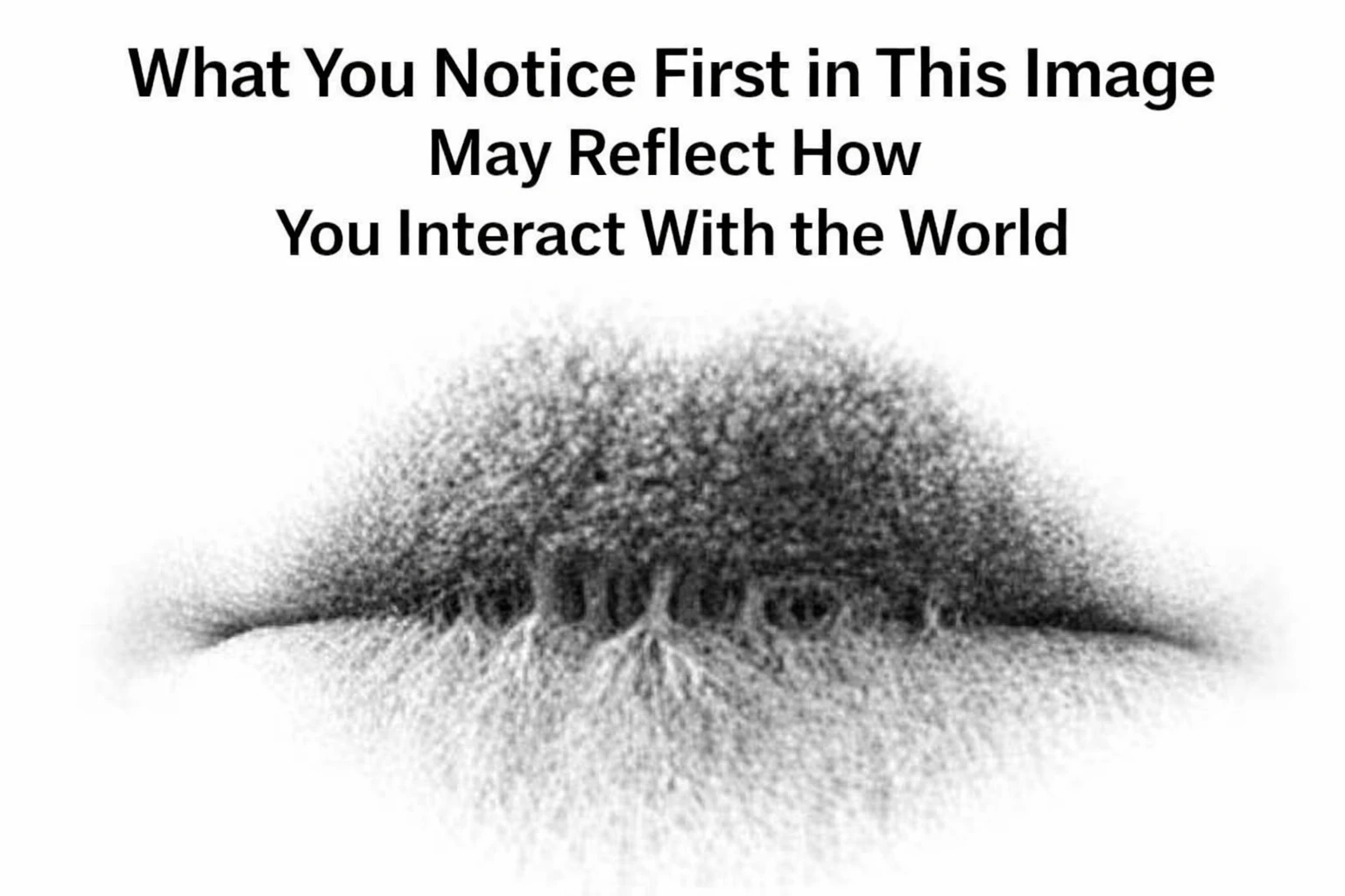 What You Notice First in This Image May Reflect How You Interact With the World